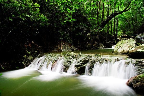 Waterfalls on a rainforest honeymoon