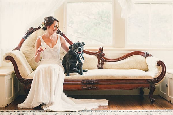 Dress your pooch for the occasion. Wedding dog and his bride.