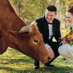 Party Animals: weddings + pets = gorgeous photographs!