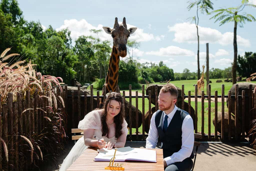 Australia-Zoo-wedding-venue-couple-newlyweds-bride-and-groom-signing-portrait-with-wildlife-in-the-background