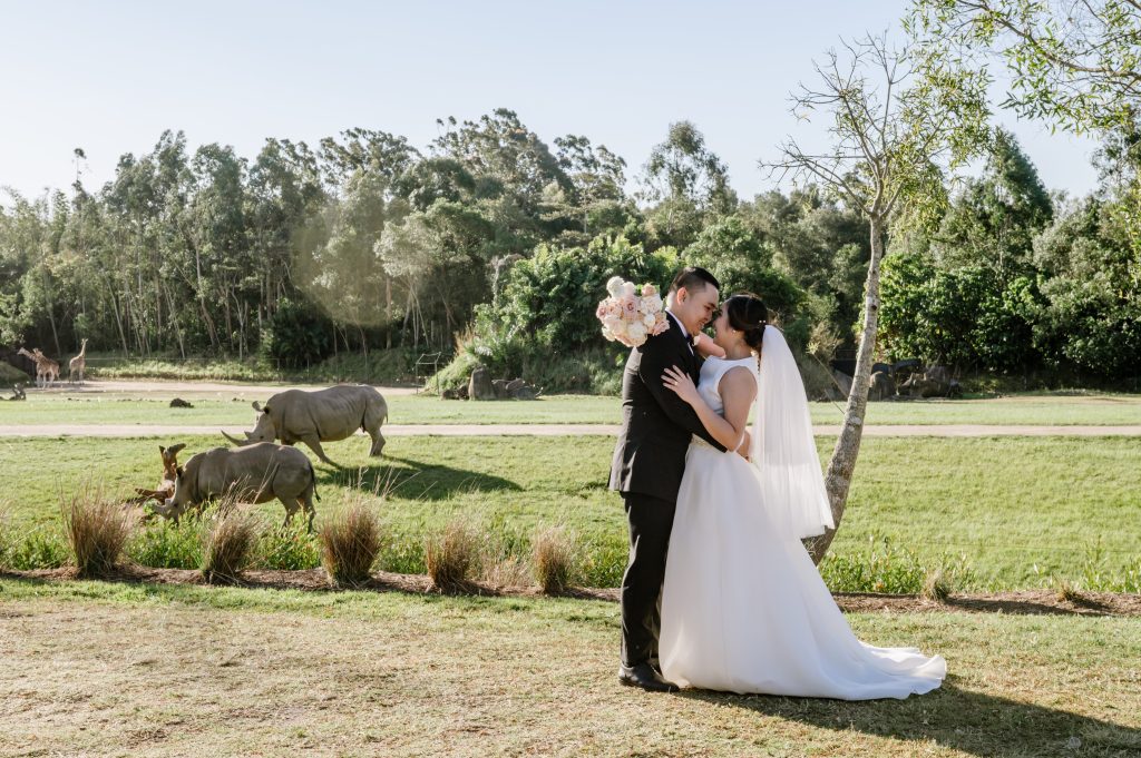 Australia-Zoo-wedding-venue-couple-newlyweds-bride-and-groom-portrait-with-wildlife-in-the-background